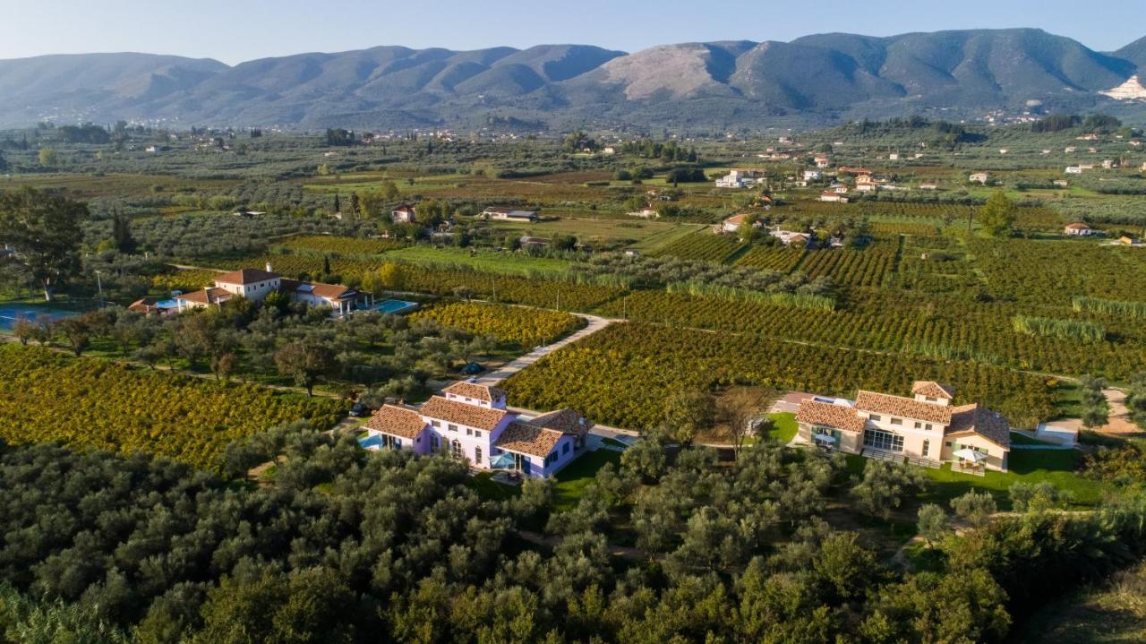 Aneli Luxury Villas - Villa Semeli Áyios Kírikos Eksteriør billede