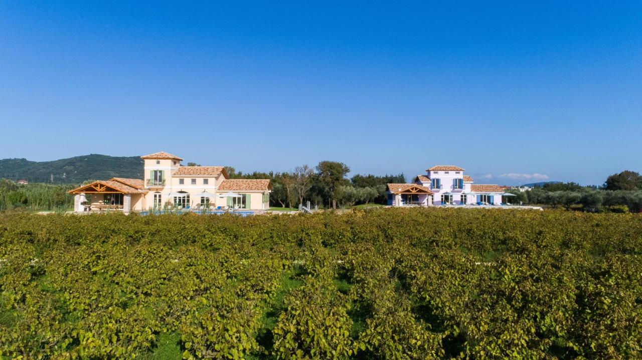 Aneli Luxury Villas - Villa Semeli Áyios Kírikos Eksteriør billede