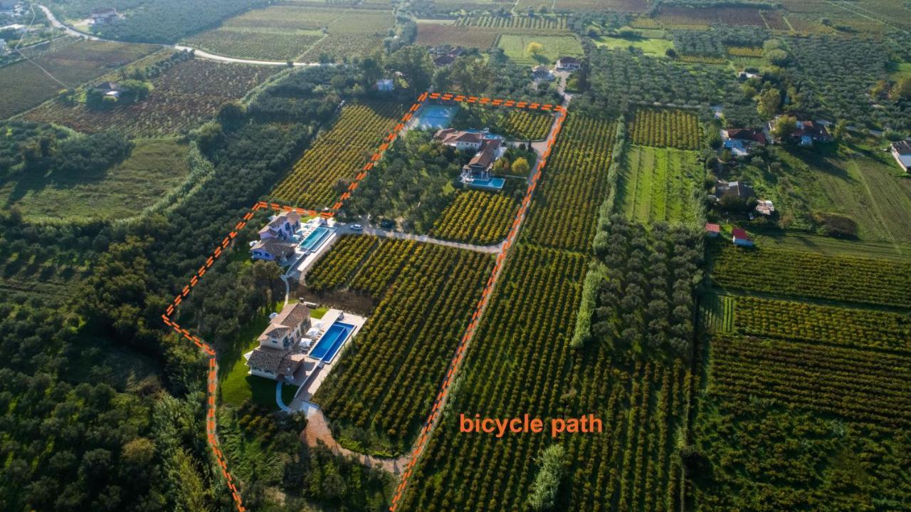 Aneli Luxury Villas - Villa Semeli Áyios Kírikos Eksteriør billede